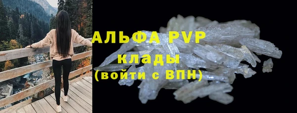 стаф Беломорск