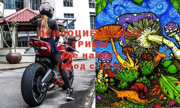 стаф Беломорск