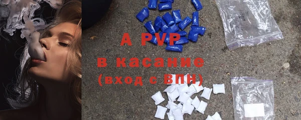 стаф Беломорск